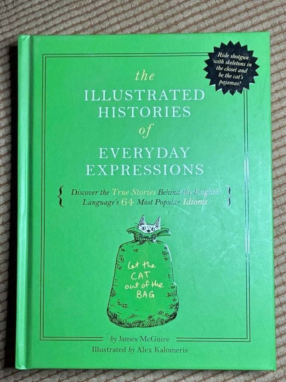 The Illustrated Histories of Everyday Expressions by James McGuire